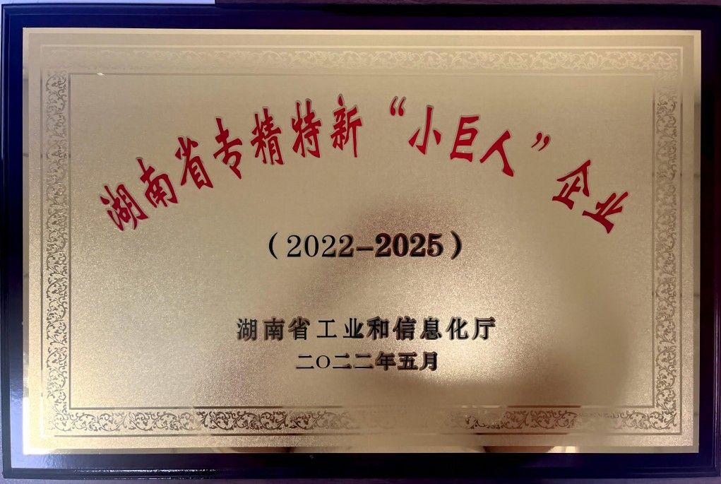 湖南省專精特新小巨人企業(yè) 湖南省專精特新小巨人企業(yè)